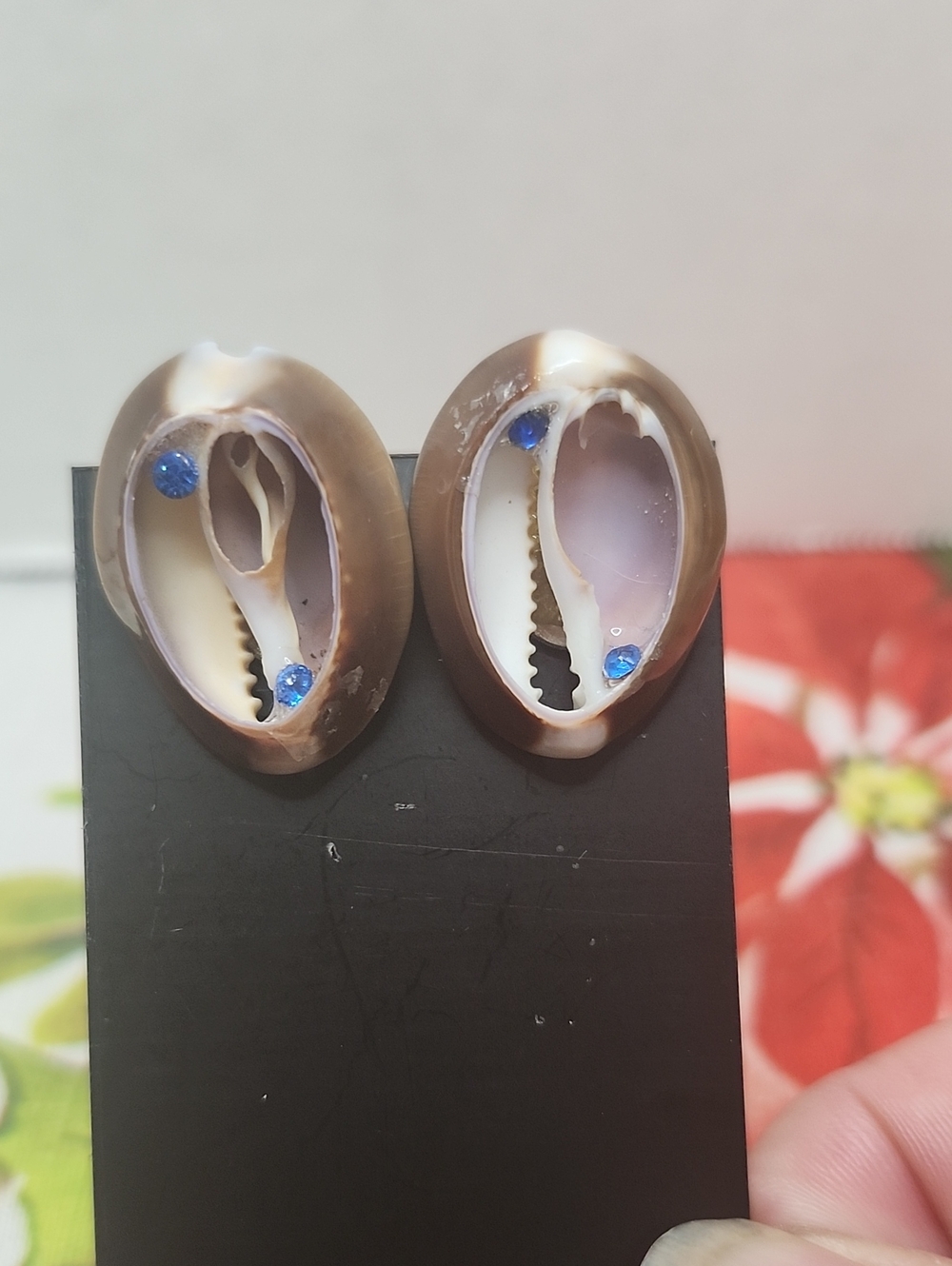 Cowrie Shell Earrings with Blue Accent - Natural Brown & Cream